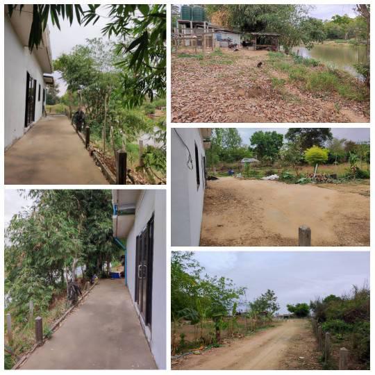 บ้านพร้อมที่ดิน 6500000 ขอนแก่น เมืองขอนแก่น ดอนหัน