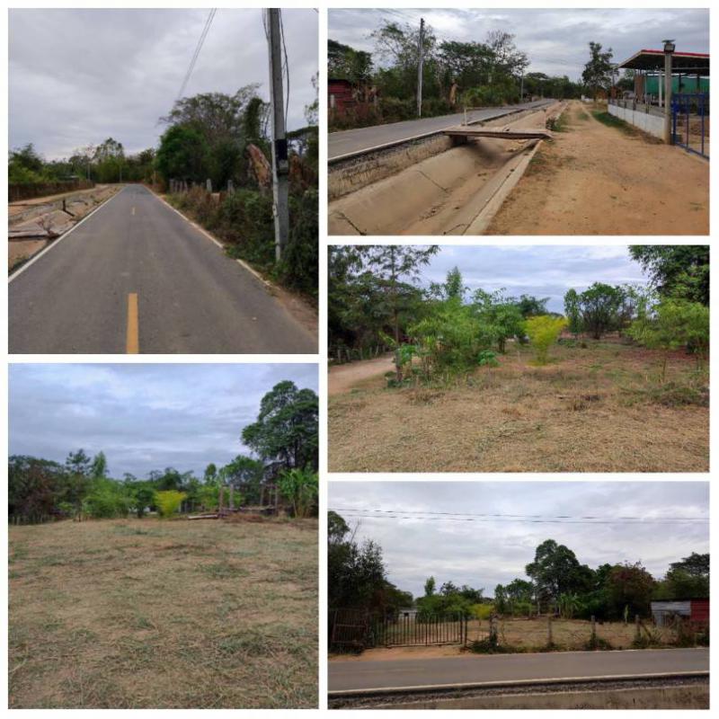 บ้านพร้อมที่ดิน 6500000 ขอนแก่น เมืองขอนแก่น ดอนหัน